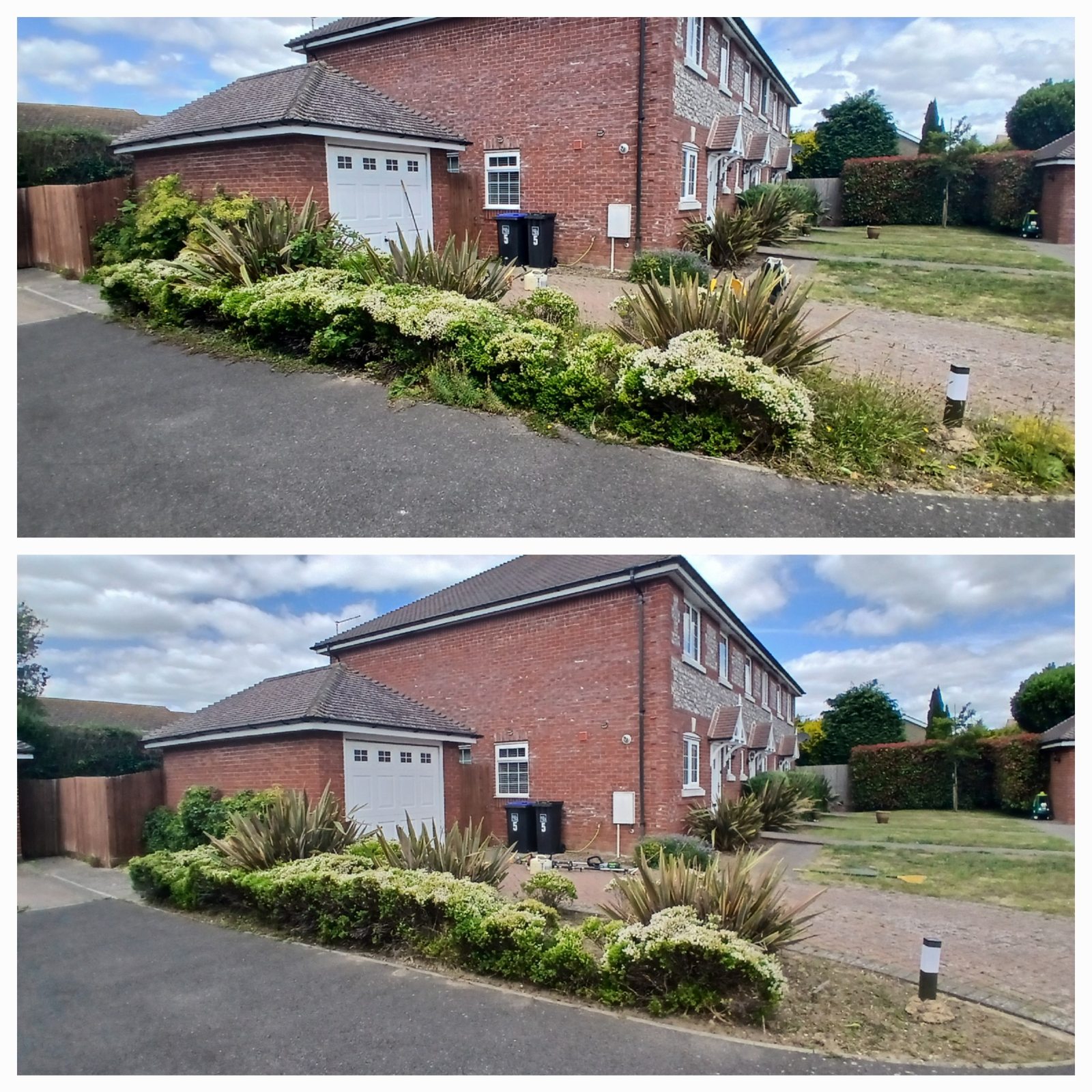 Worthing Gardening Service project photo 3 in Worthing